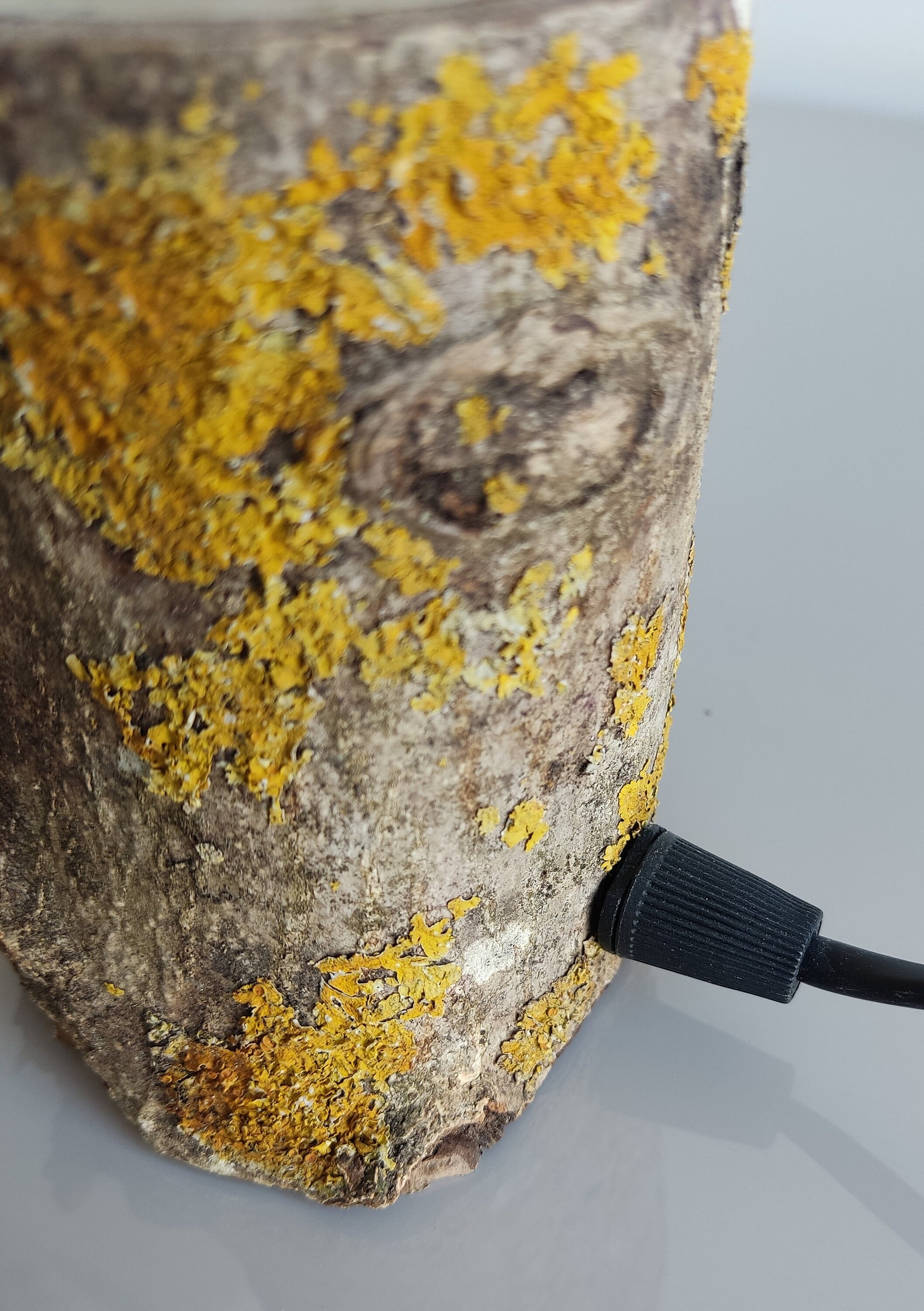 Ktük Design, Wood Table Lamp, Table Lamp, Side Lamp, Desk Lamp, Dimmer Lamp, Edisson Lamp, Mini Lamp
